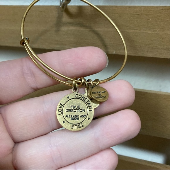 Alex and Ani True Direction Rafaelian Bangle Bracelet - Picture 4 of 4